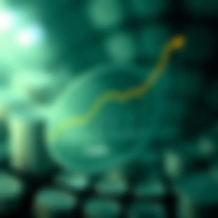 Exploring CedarCoin's Growth Potential Graph depicting the growth potential of CedarCoin