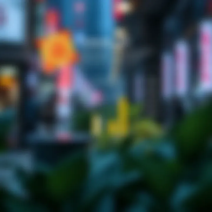 Infographic showcasing Coinone API use cases