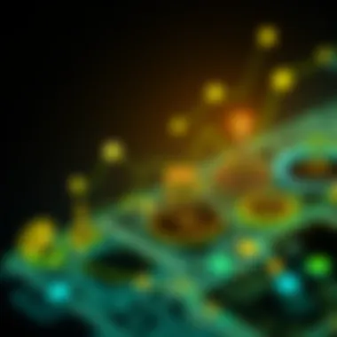 Graphical depiction of cryptocurrency ecosystem evolution