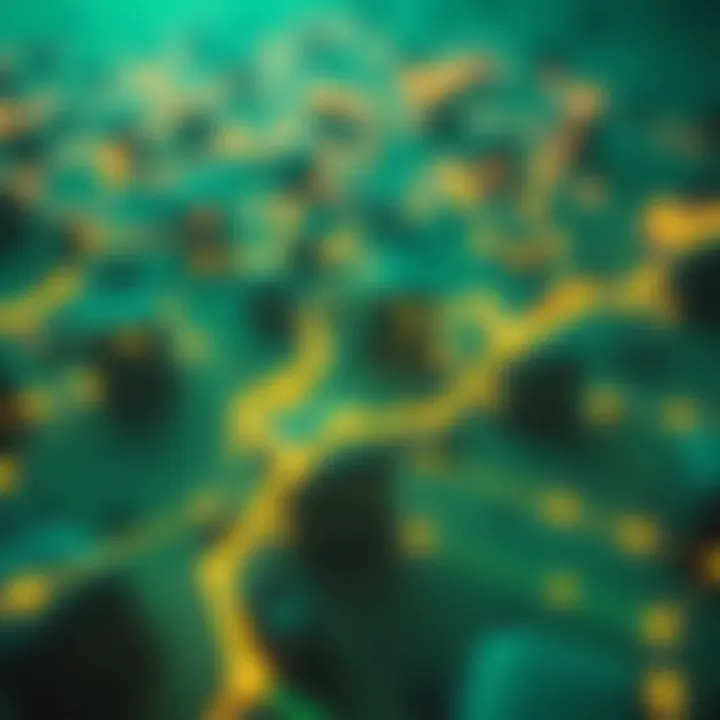 Blockchain network illustrating transaction flow