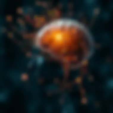 An abstract representation of psychological insights