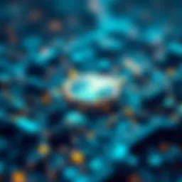 Innovative blockchain ecosystem represented visually