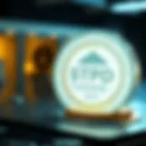 Visual representation of Stable Token for Payment of Debt structure