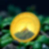 Visual representation of TerraCoin's unique features and benefits